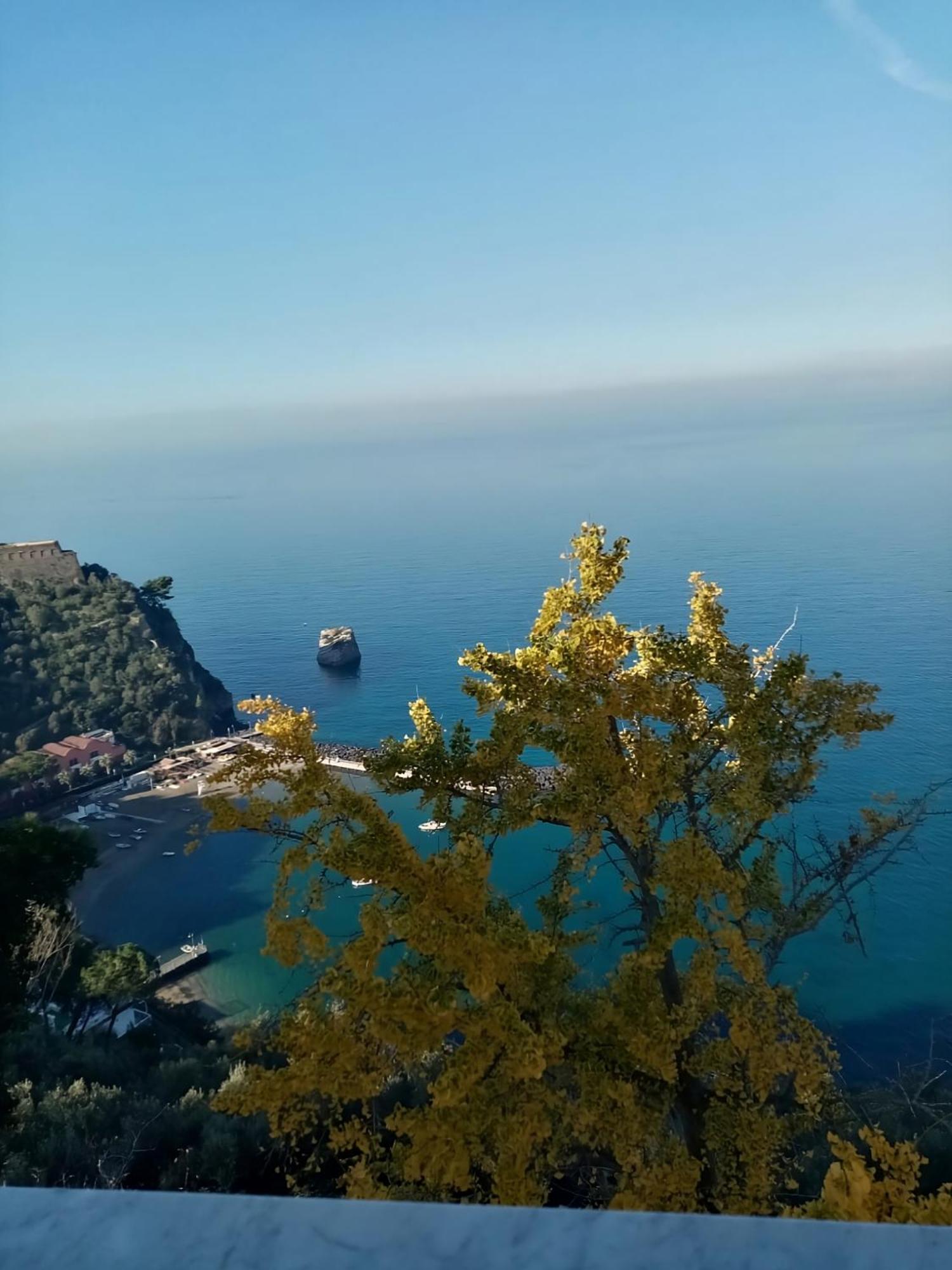 Casalulu Holiday Home - Lovely Apartment Sorrento Coast فيكو إيكوينس المظهر الخارجي الصورة